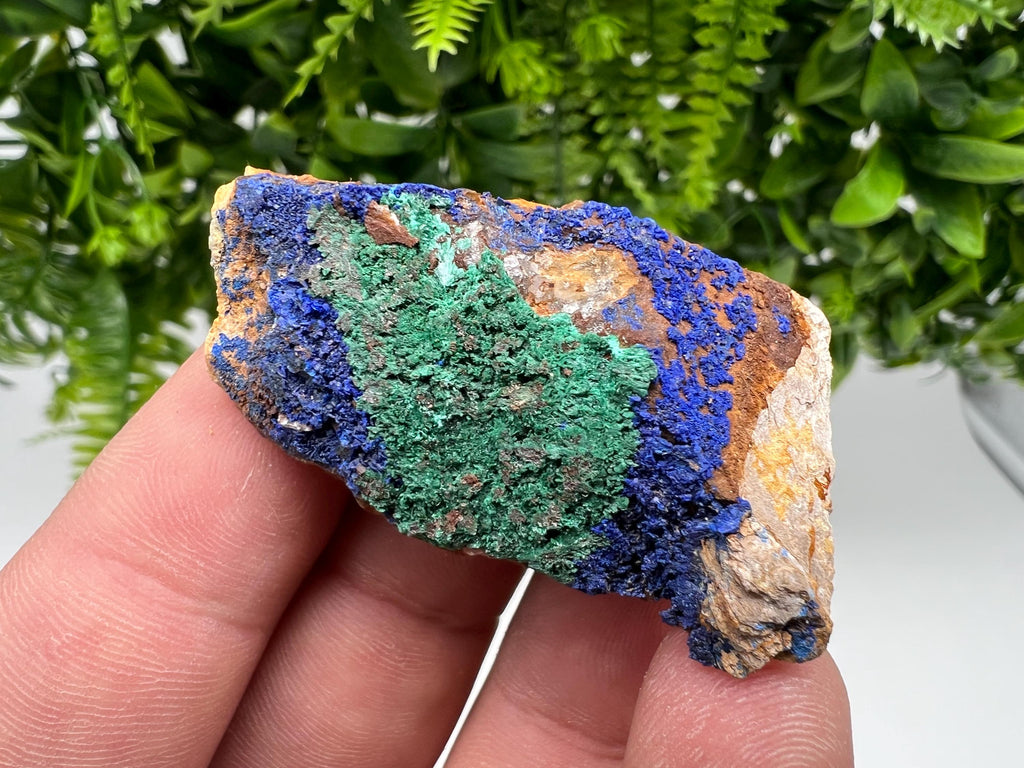 Moroccan Azurite Malachite Mineral Specimen, Rare Crystal Collection