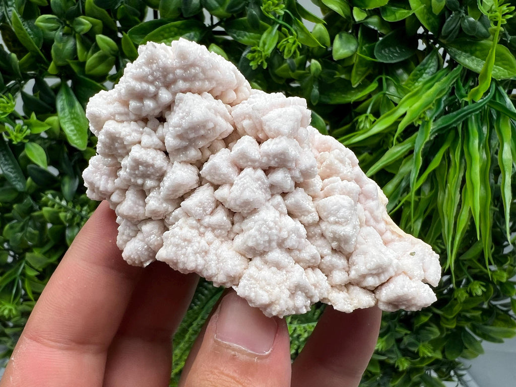 Pink Manganocalcite Mineral Specimen: Krushev Dol Mine, Bulgaria
