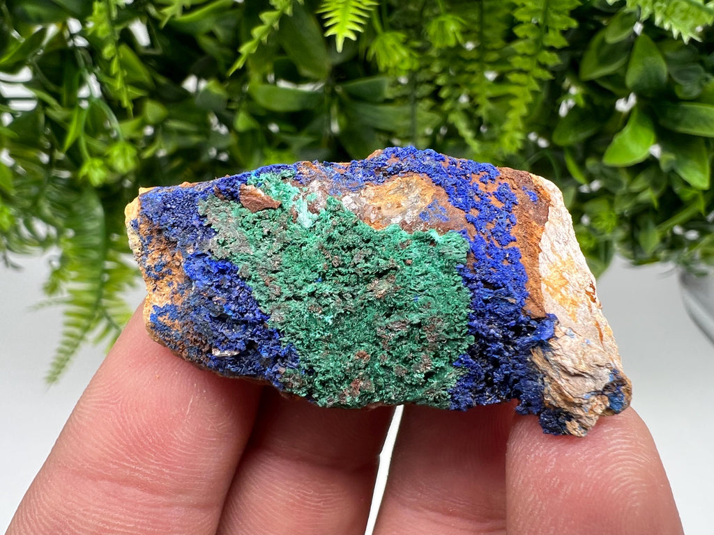 Moroccan Azurite Malachite Mineral Specimen, Rare Crystal Collection