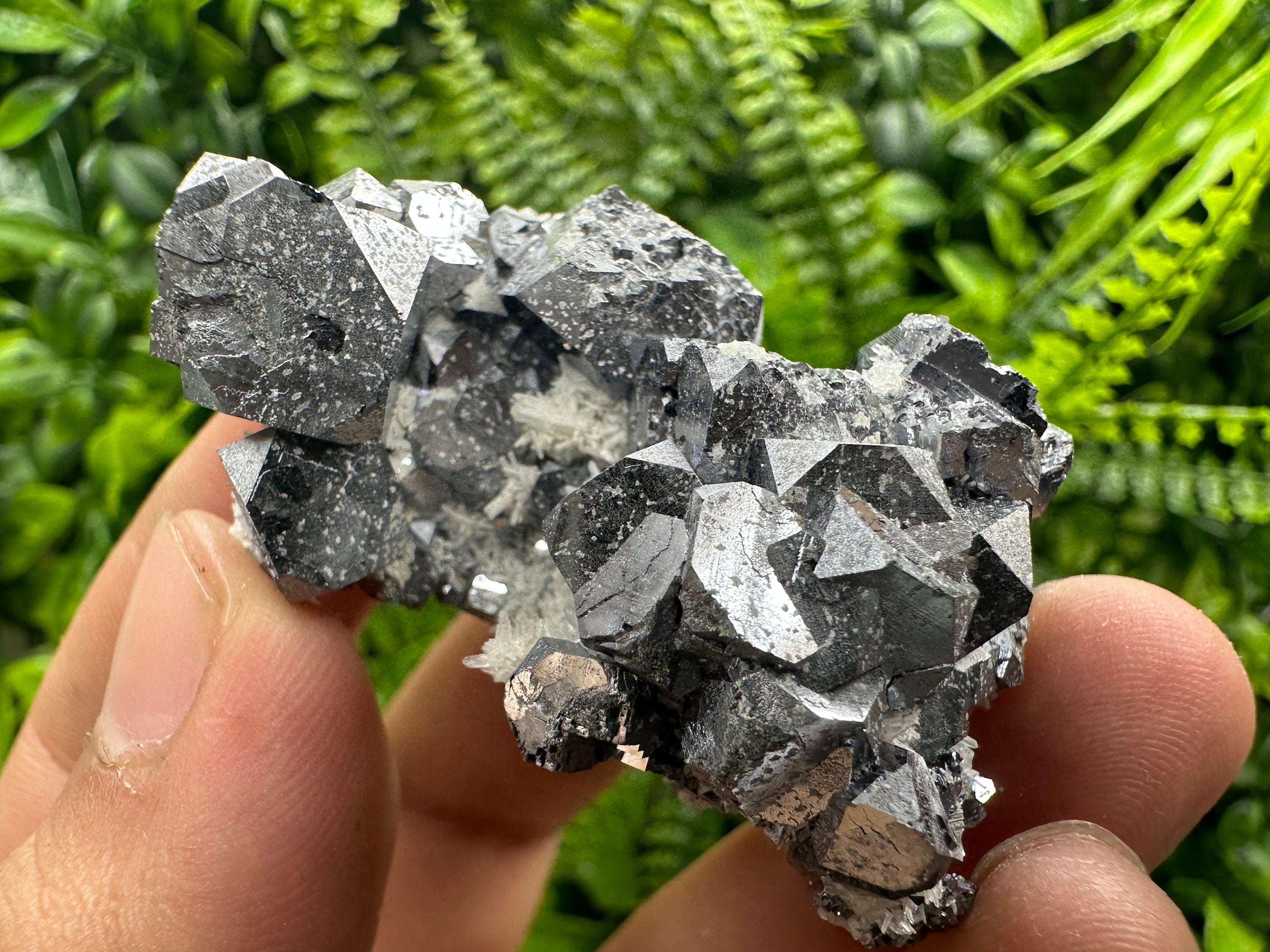 Shiny Galena on Quartz, Borieva Mine, Bulgaria