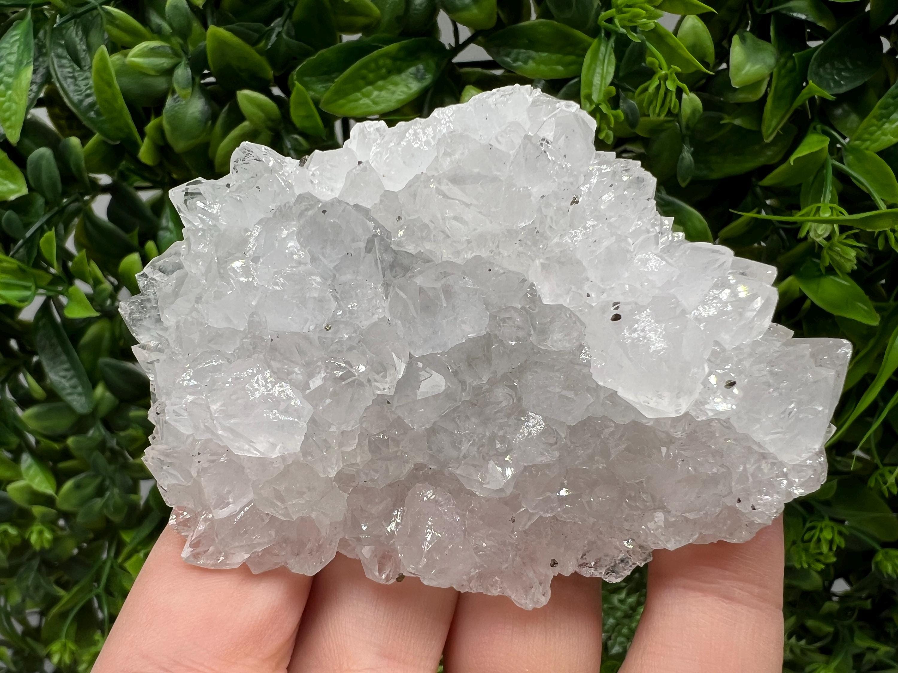 Transparent Quartz on Chlorite Matrix, Borieva Mine, Bulgaria