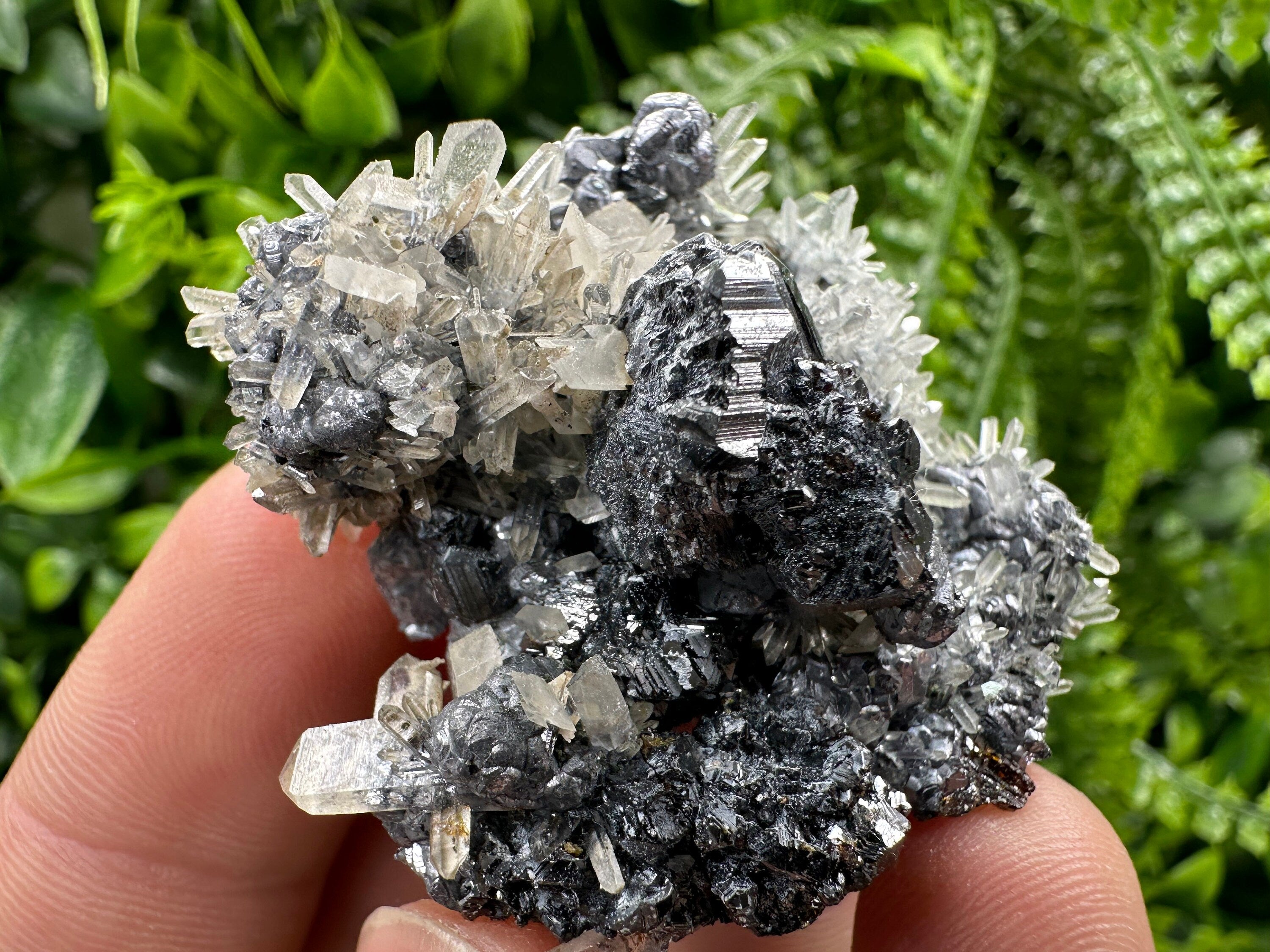 Sphalerite Quartz on Galena Mineral Specimen, Bulgaria