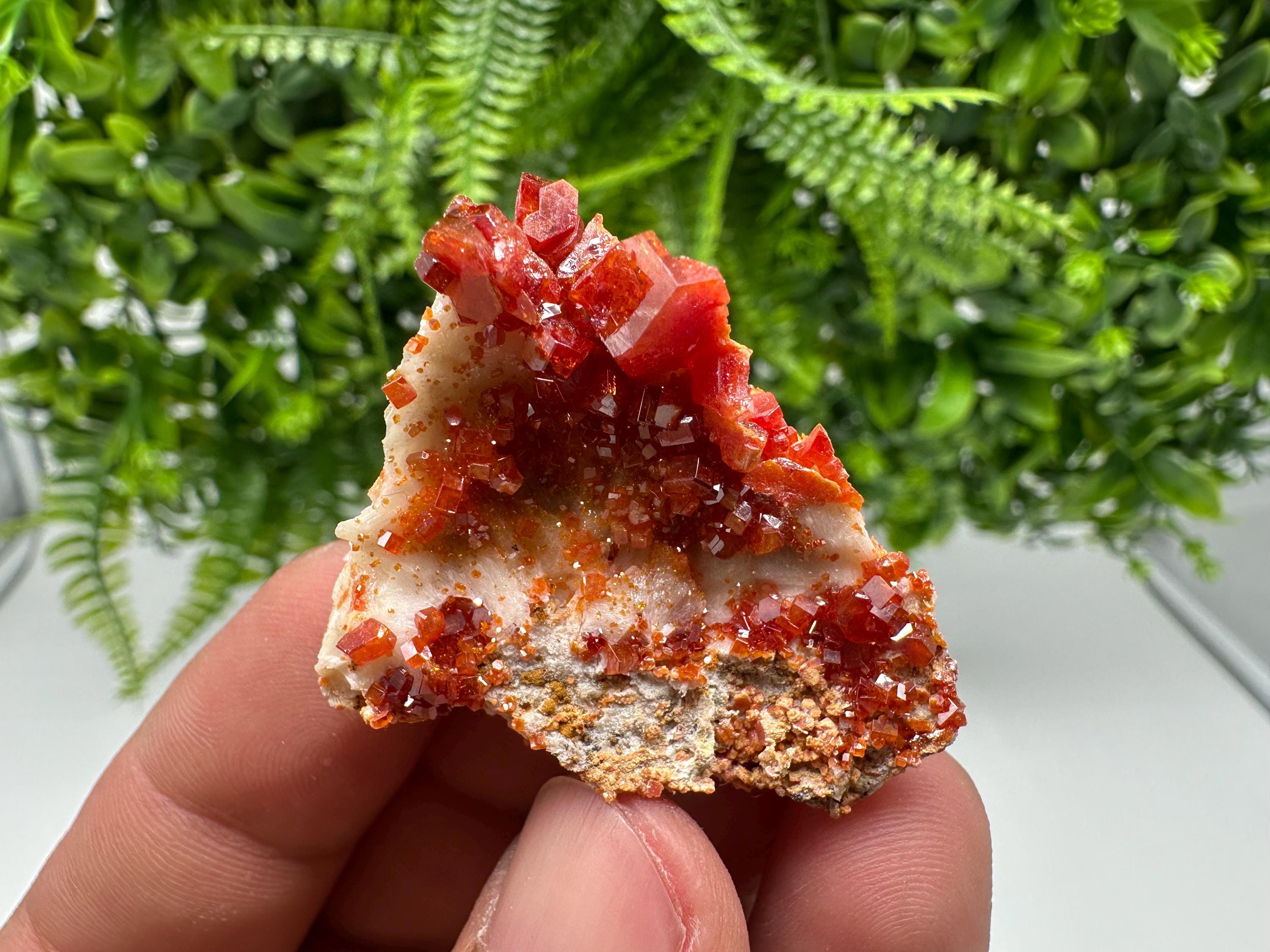Red Vanadinite on Barite, Morocco Crystal Cluster