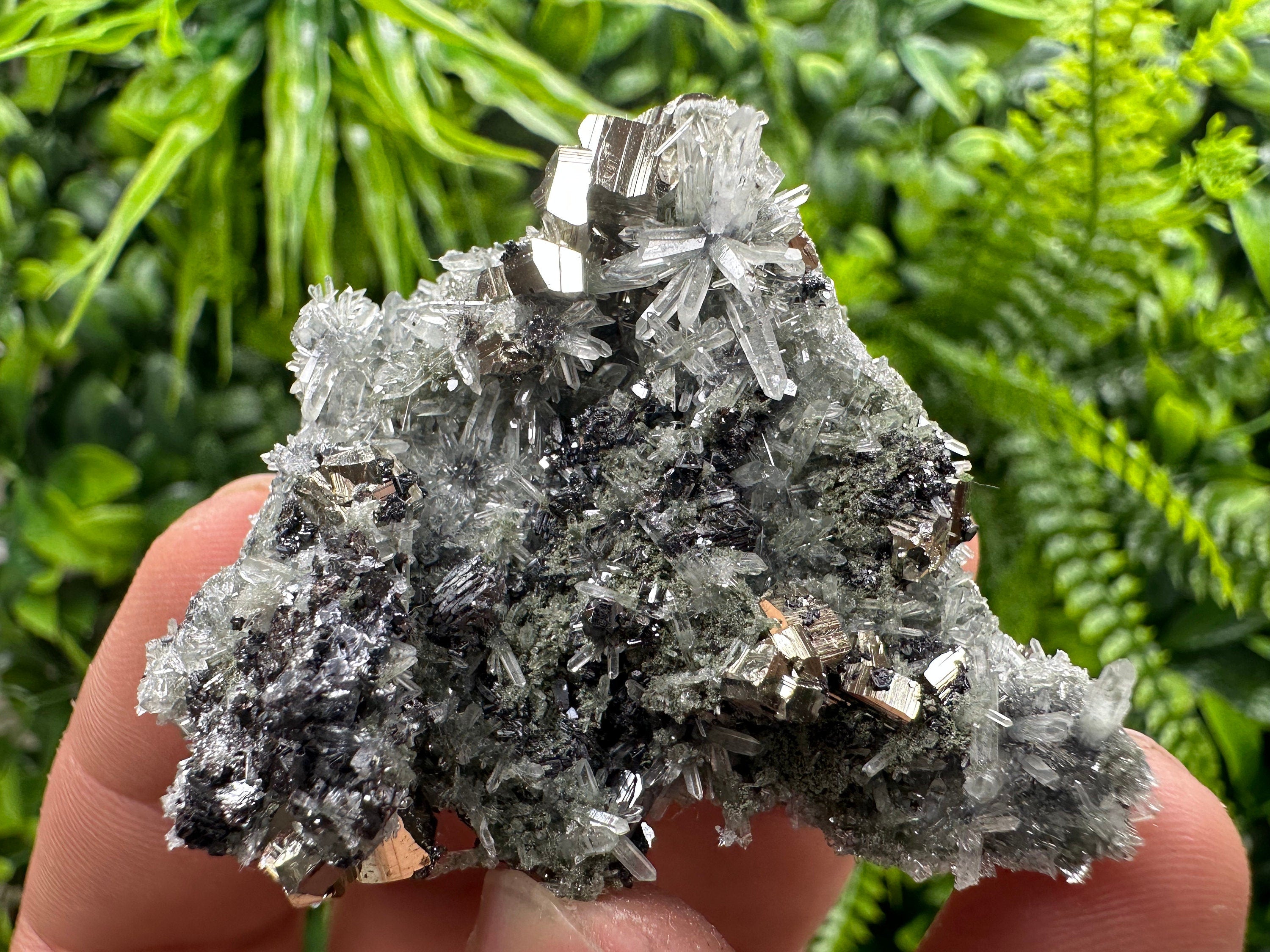 Pyrite Sphalerite Galena on Quartz: Bulgaria Borieva Mine Crystal Cluster