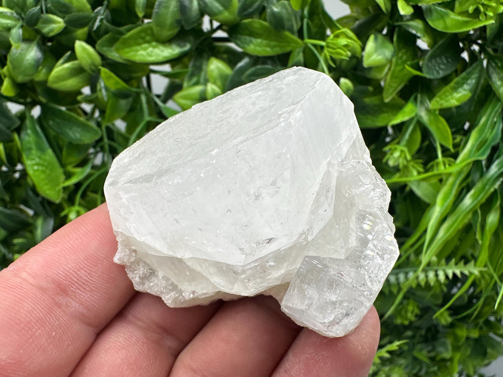 Apophyllite Crystal Specimen: Rare India Mineral, Home Decor