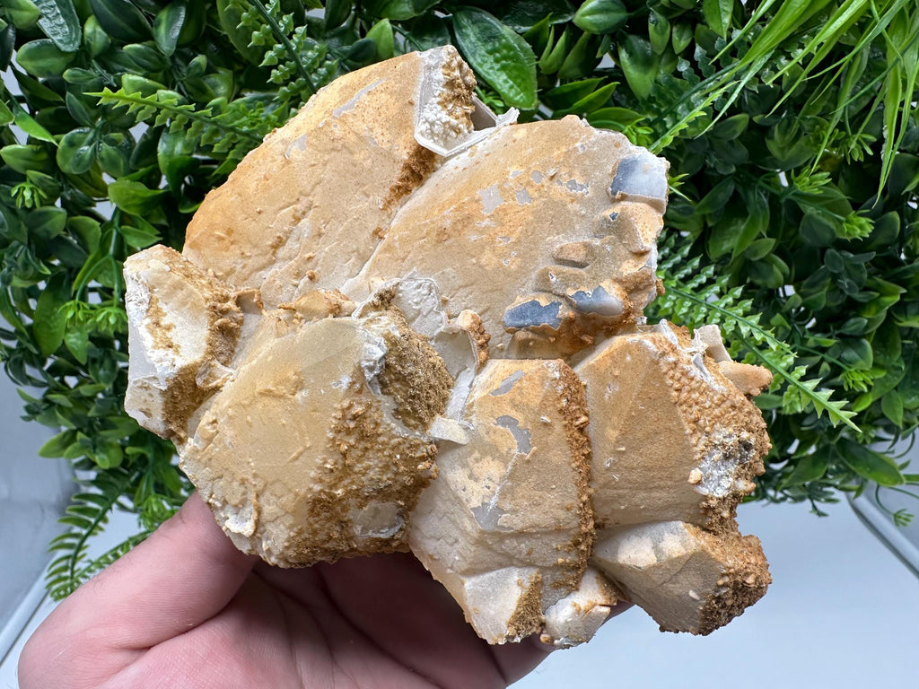 Limonite Coated Quartz Crystal, Djurcovo Mine, Bulgaria