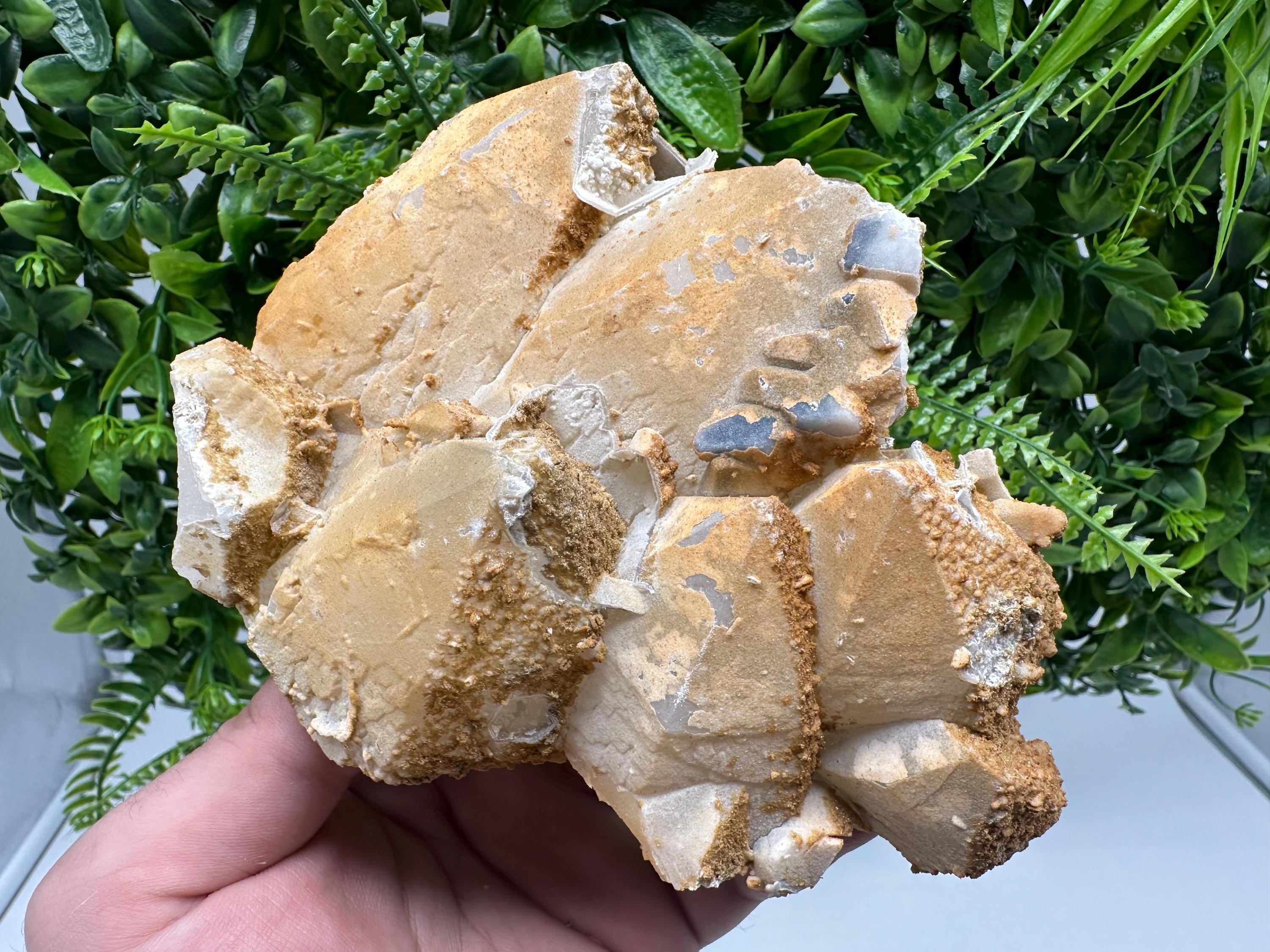 Limonite Coated Quartz Crystal, Djurcovo Mine, Bulgaria