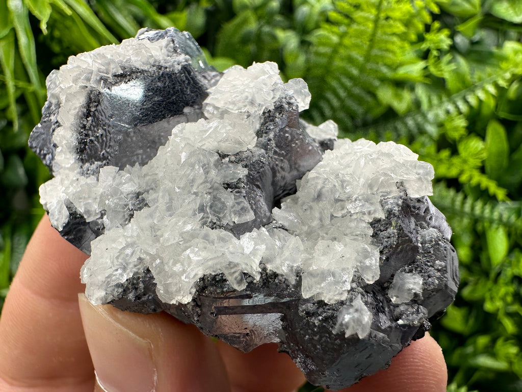 Galena with Calcite Cluster, Batantci Mine Mineral Specimen