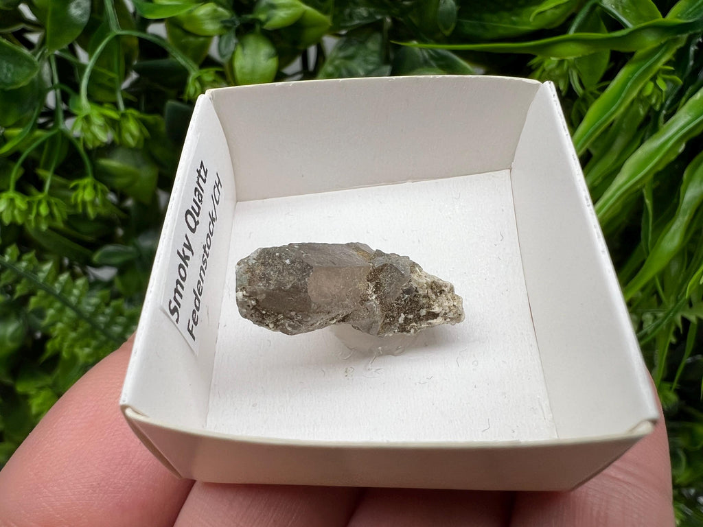 Rare Fedenstock Smoky Quartz, Swiss Mineral Specimen