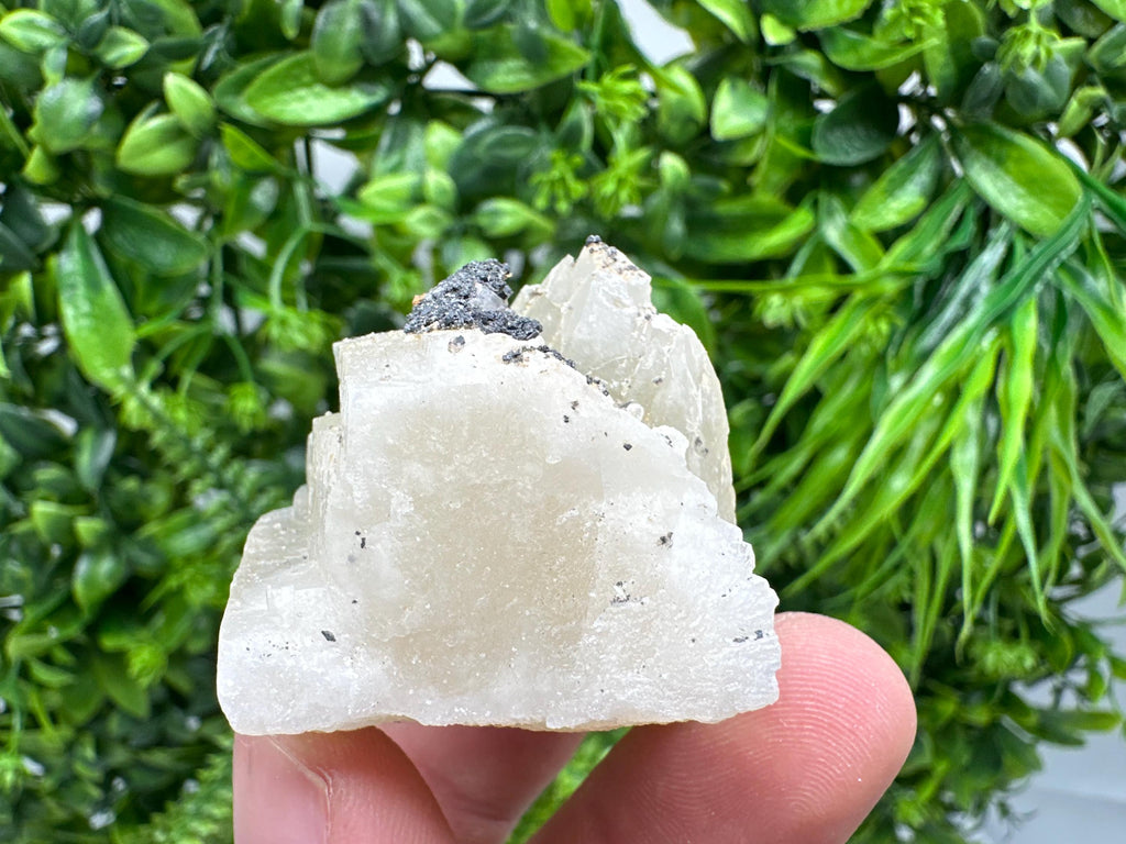 Calcite on Aragonite: Djurcovo Mine, Bulgaria Crystal