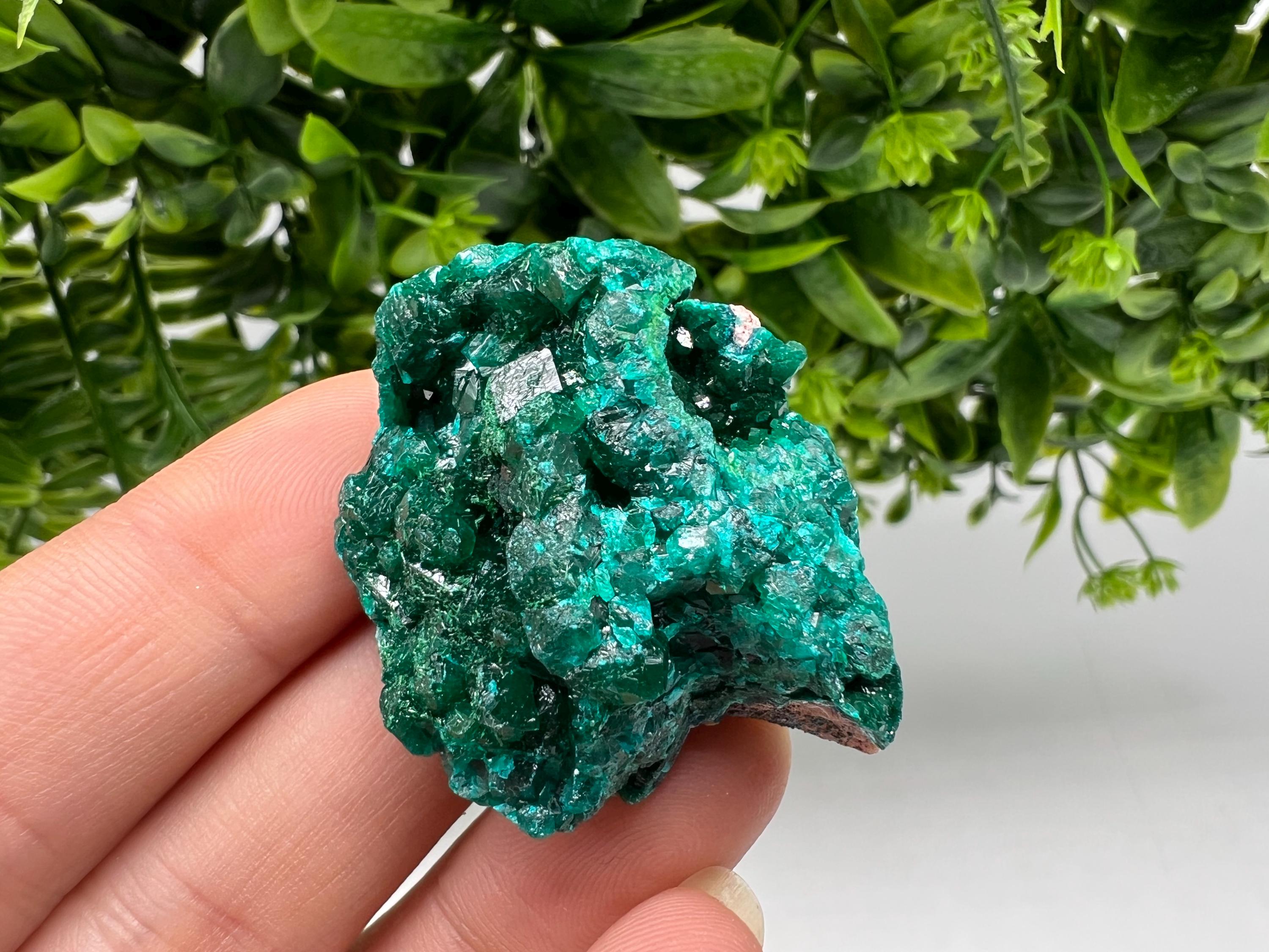 Stunning Green Dioptase from Sanda Hills,Mindouli,Pool Department,Mindouli District,Congo,green Dioptase,Dioptas Crystal,Dioptase collecting