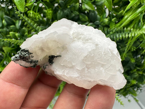 Calcite on Green Quartz: Djurcovo Mine, Bulgaria Crystal