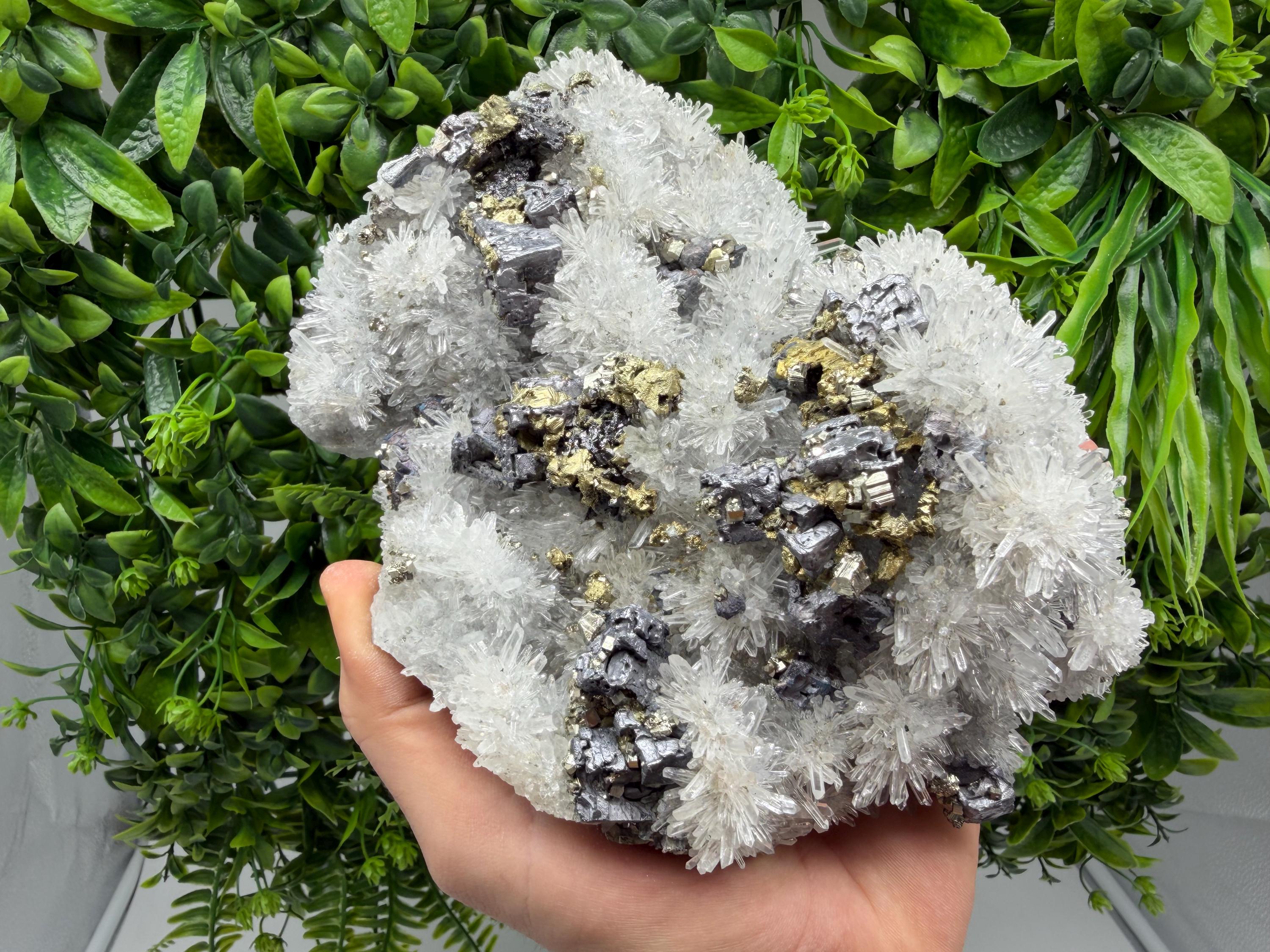Sphalerite Chalcopyrite Galena on Quartz, 9th September Mine Mineral Specimen