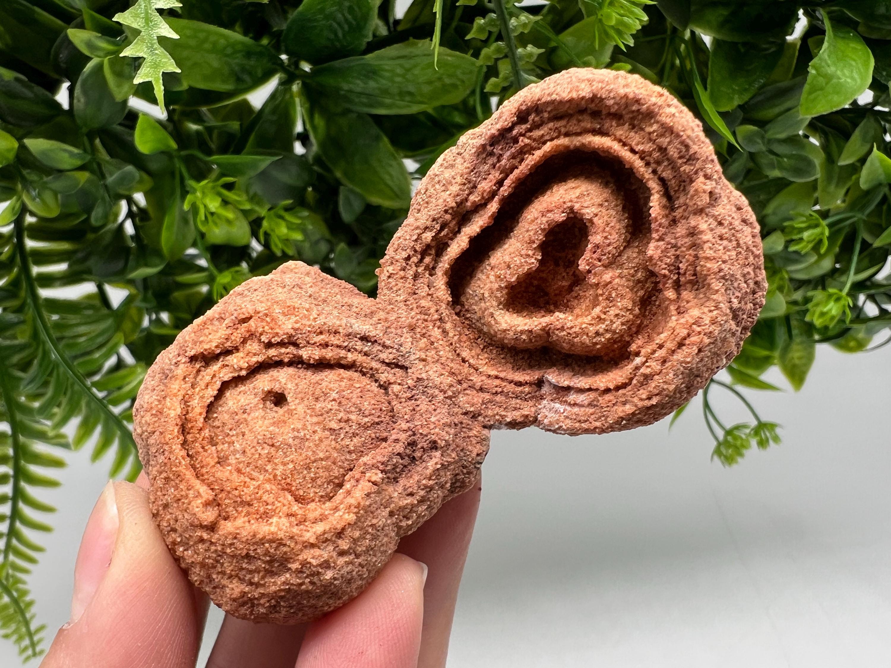 Raw Stromatolite Fossil Specimen, Moroccan Grounding Stone