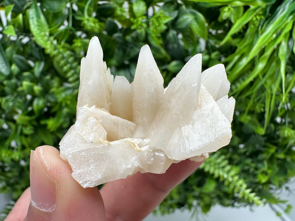 Calcite on Aragonite: Djurcovo Mine, Bulgaria Healing Crystal