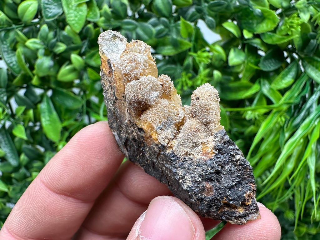 Rare Green/Yellow Pyromorphite & Hematite on Quartz - Madjarovo Mine, Bulgaria