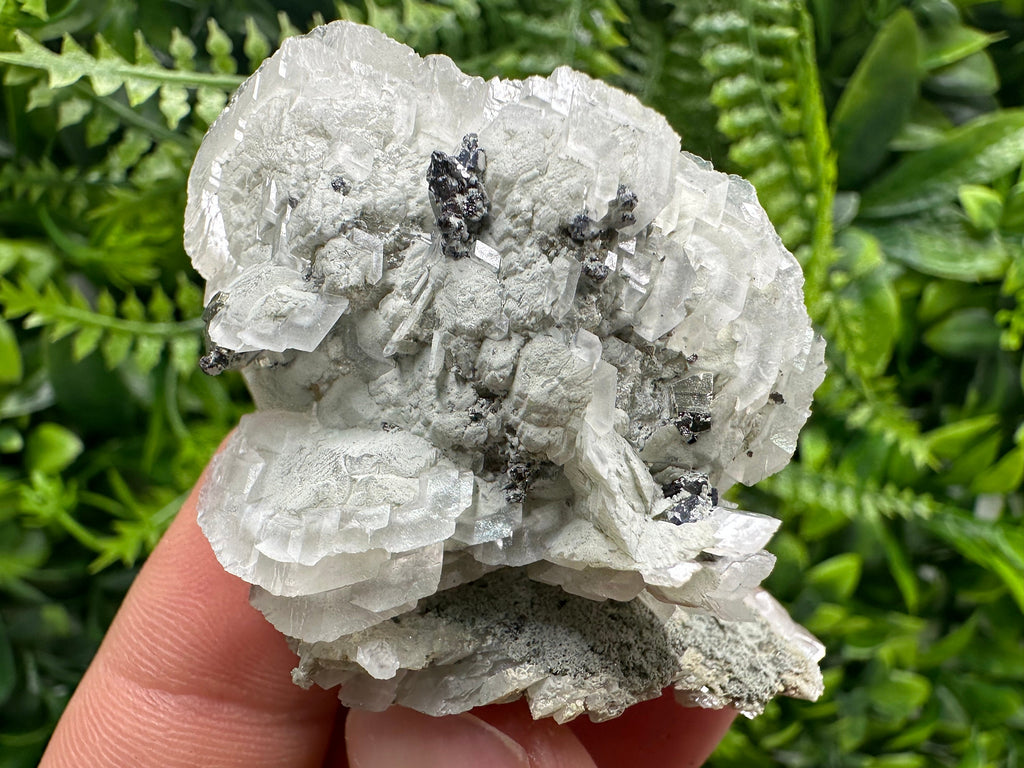 Calcite Pyrite Galena Mineral Cluster on Quartz, Borieva Bulgaria