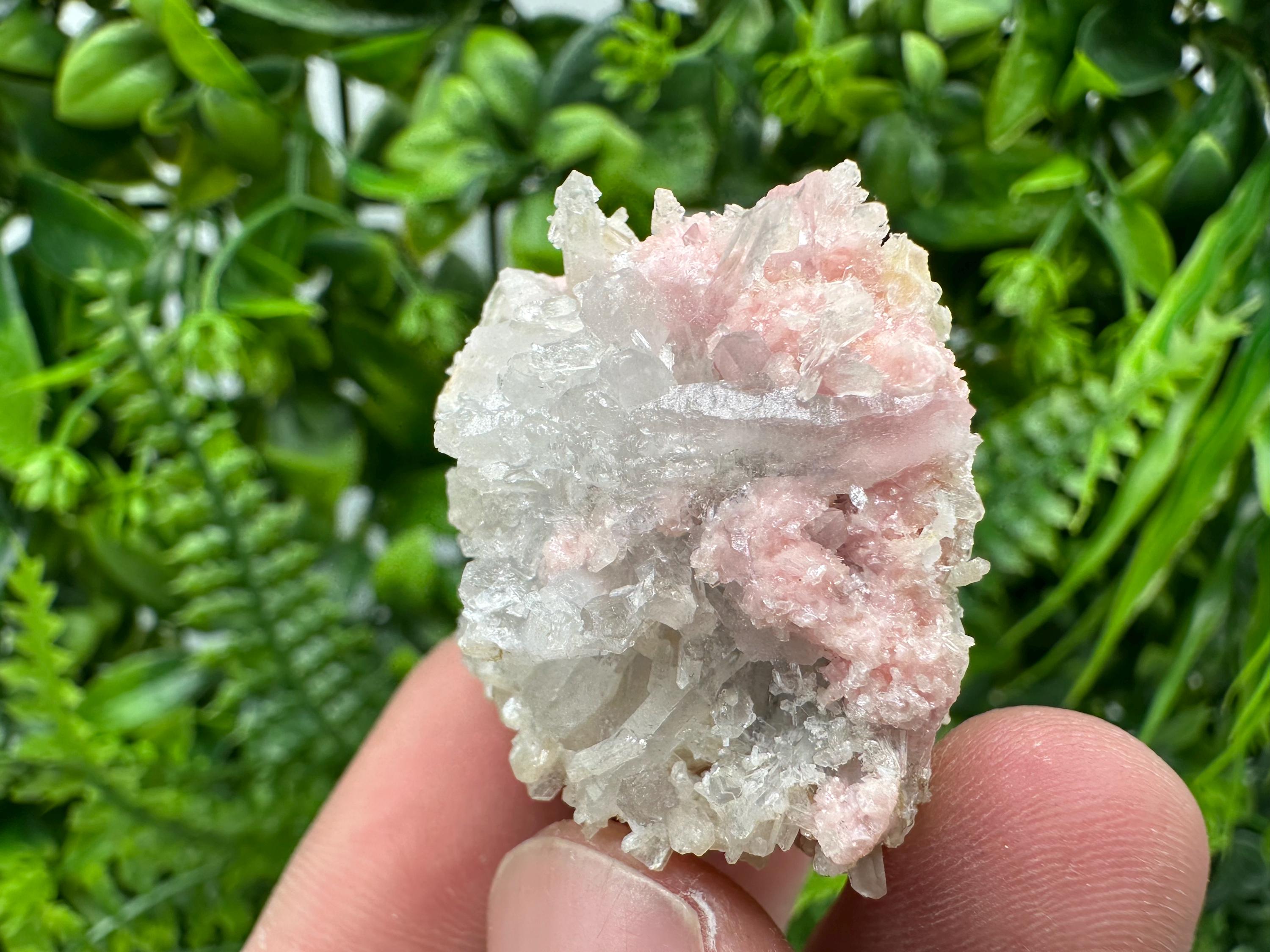 Pink Rhodochrosite Crystal: Starnica Mine, Bulgaria