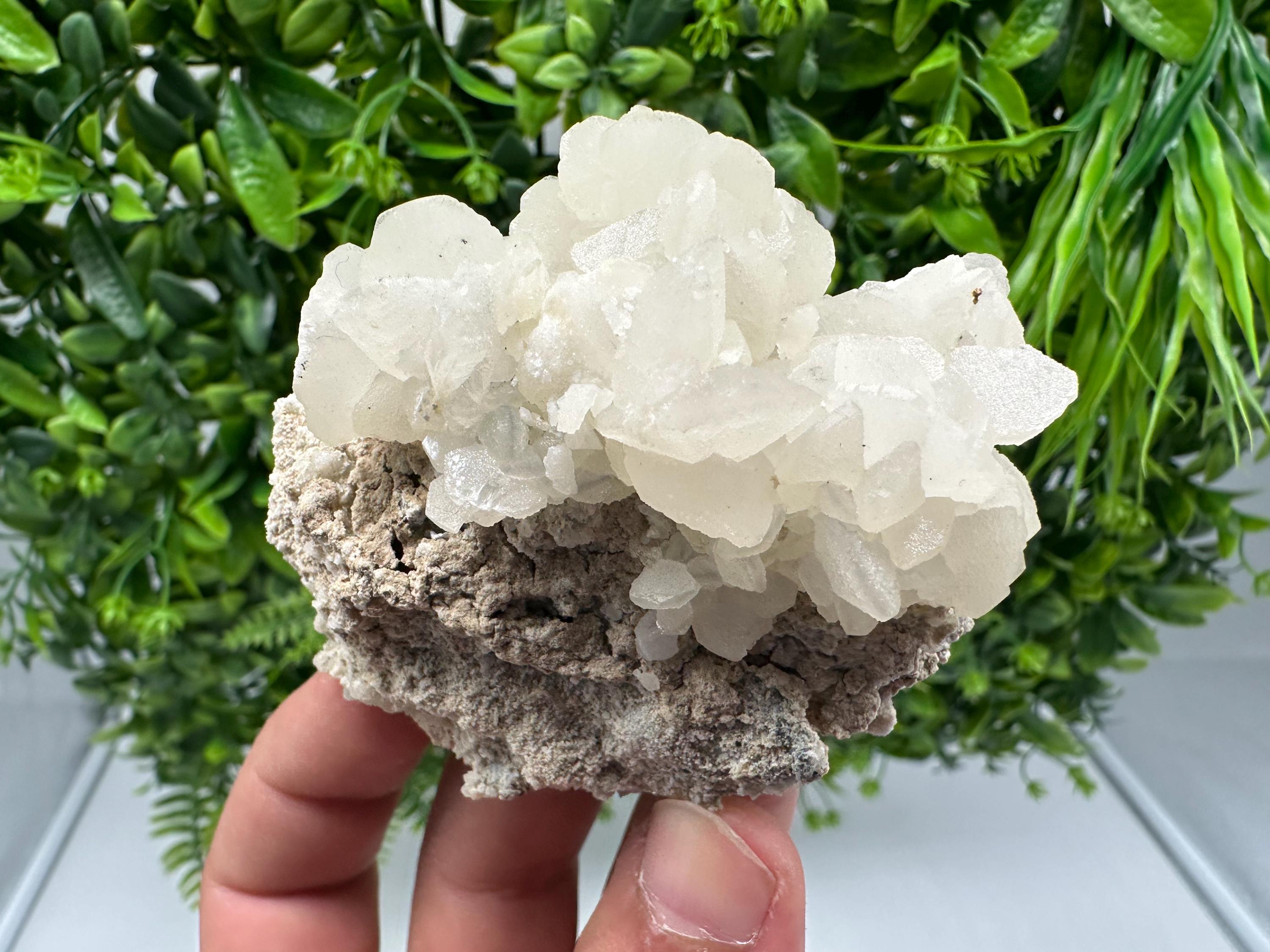 Rare Calcite Cluster on Matrix, Bulgaria Mineral Specimen, Home Decor