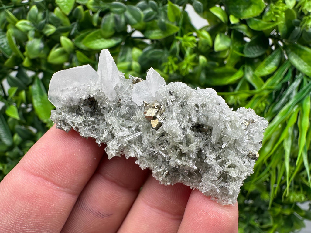 Pyrite on Green Quartz Mineral Specimen, Borieva Mine
