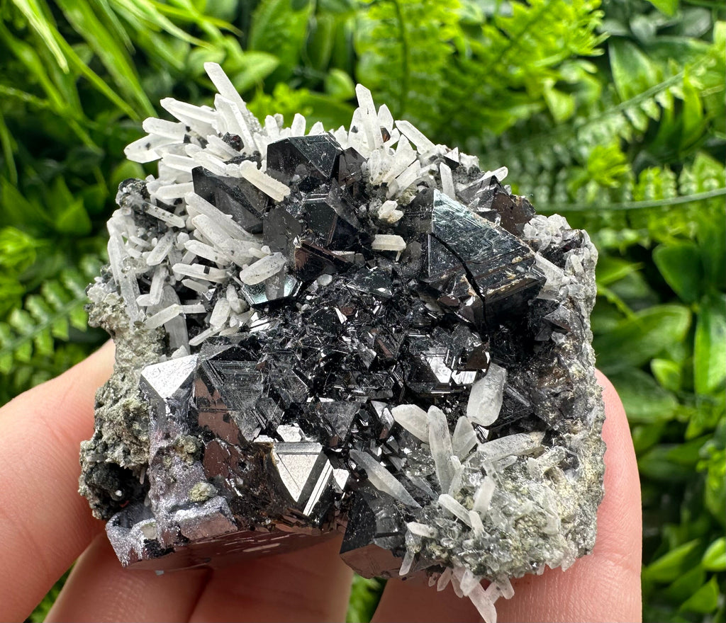 Borieva Sphalerite on Quartz: Rare Mineral Cluster