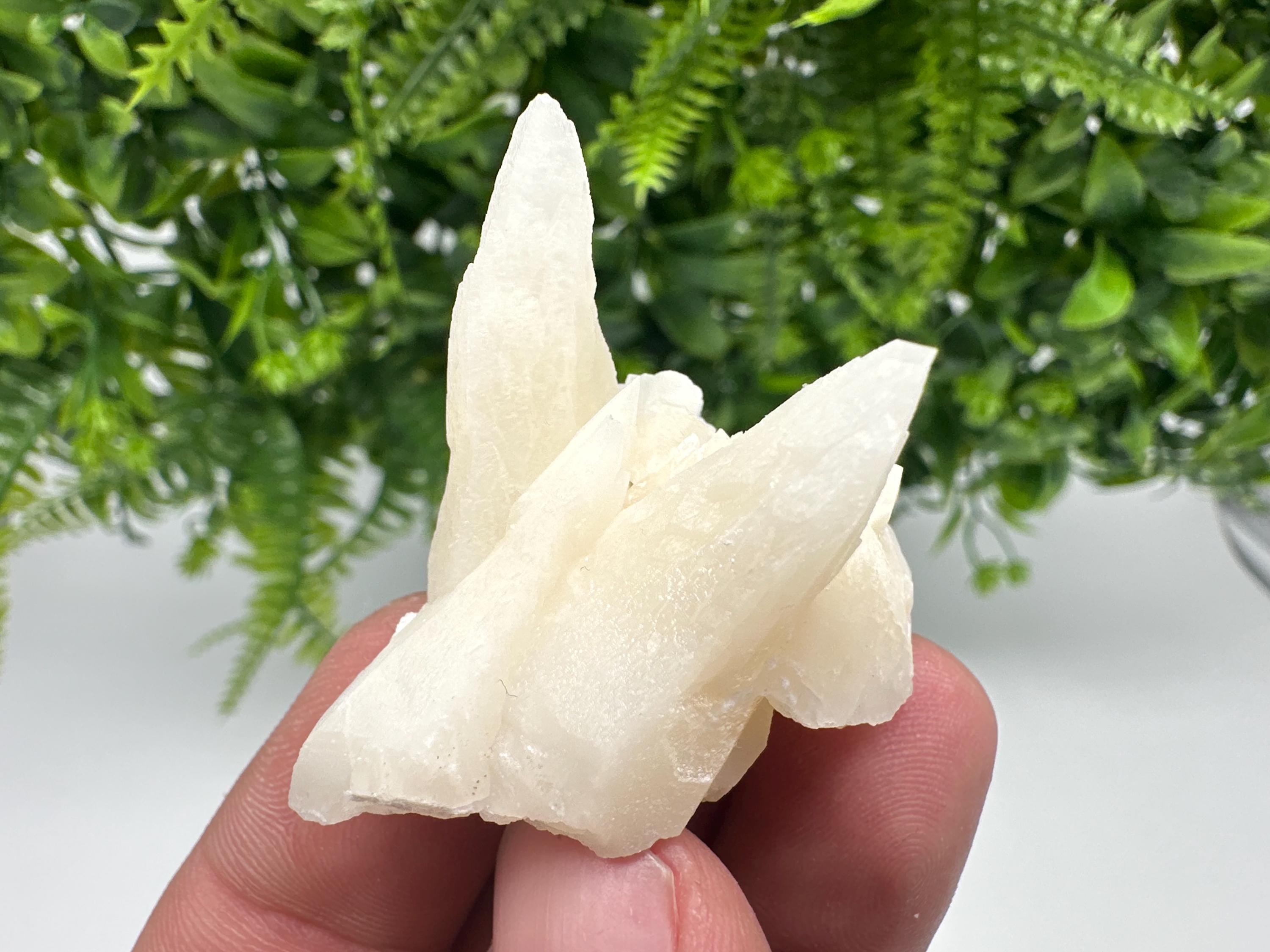 Calcite on Aragonite: Djurcovo Mine, Bulgaria Crystal