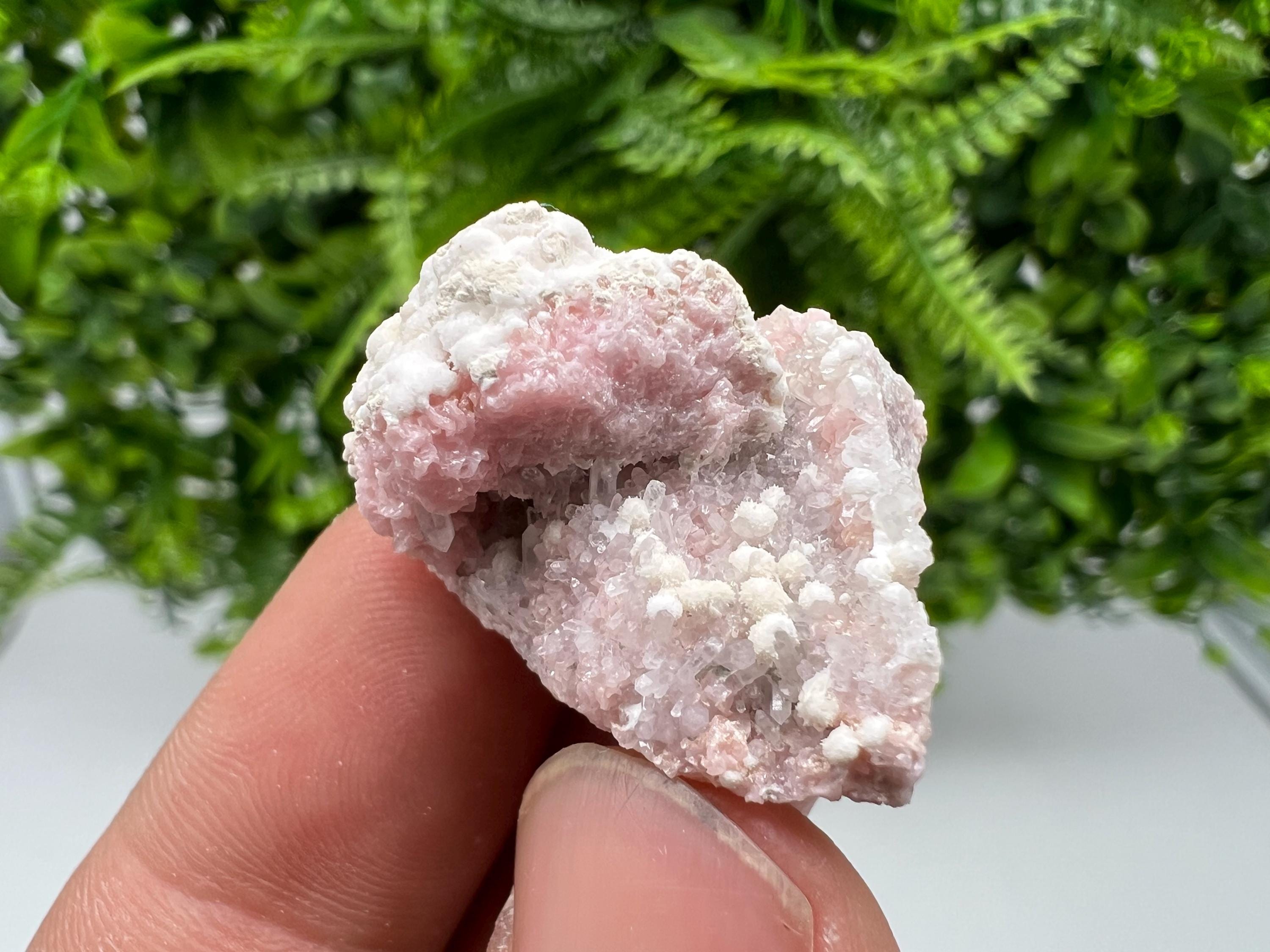 RARE Rhodochrosite whit white Calcite,pink mineral,Starnica Mine,Davidcovo,Bulgaria natural mineral,souvenir crystal,home decor,collectible