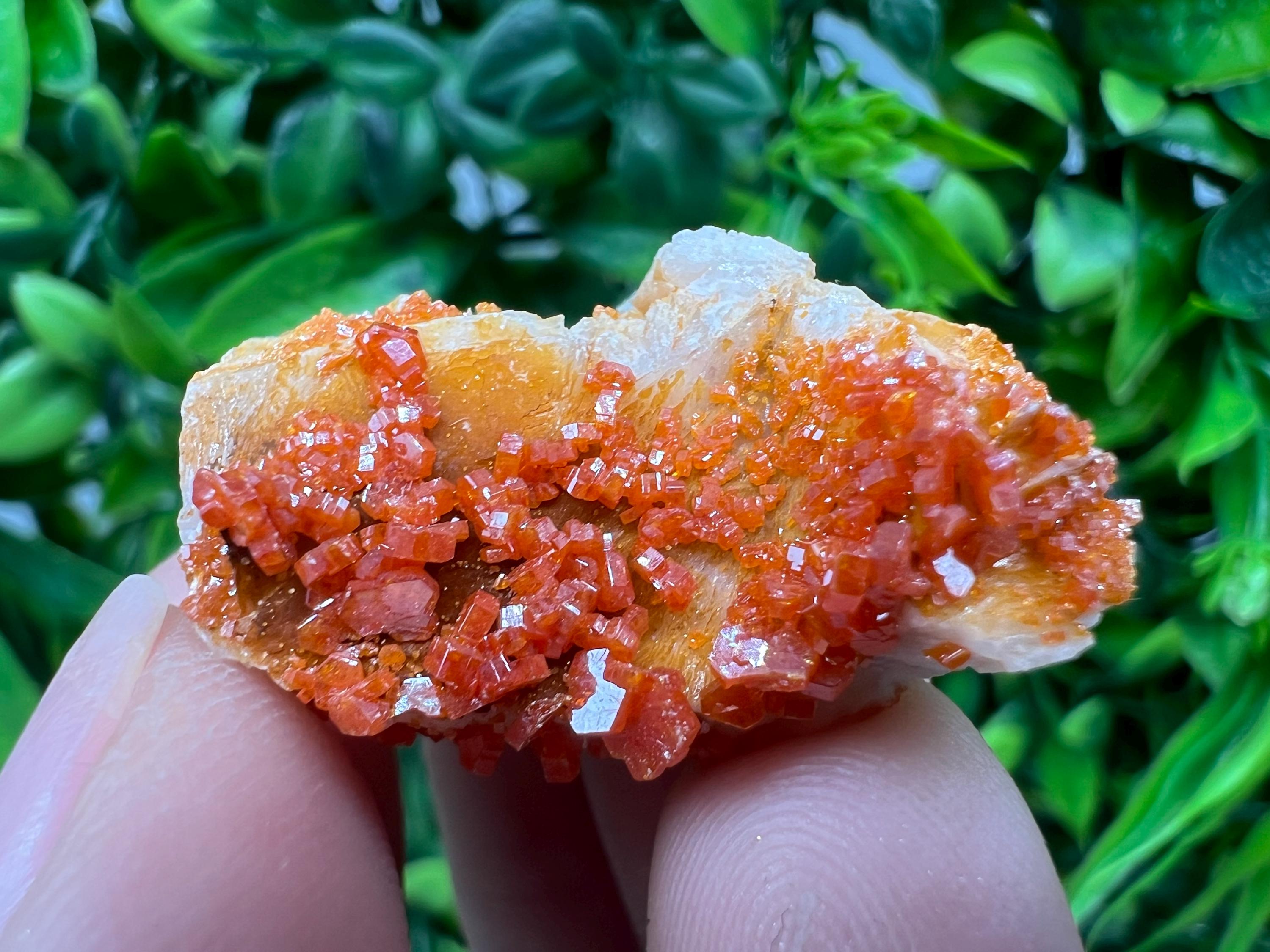 Red Vanadinite on Barite from Marocco,crystal minerals Speciment cluster Vanadinite crystal Vanadinite Geology Vanadinite cluster minerals