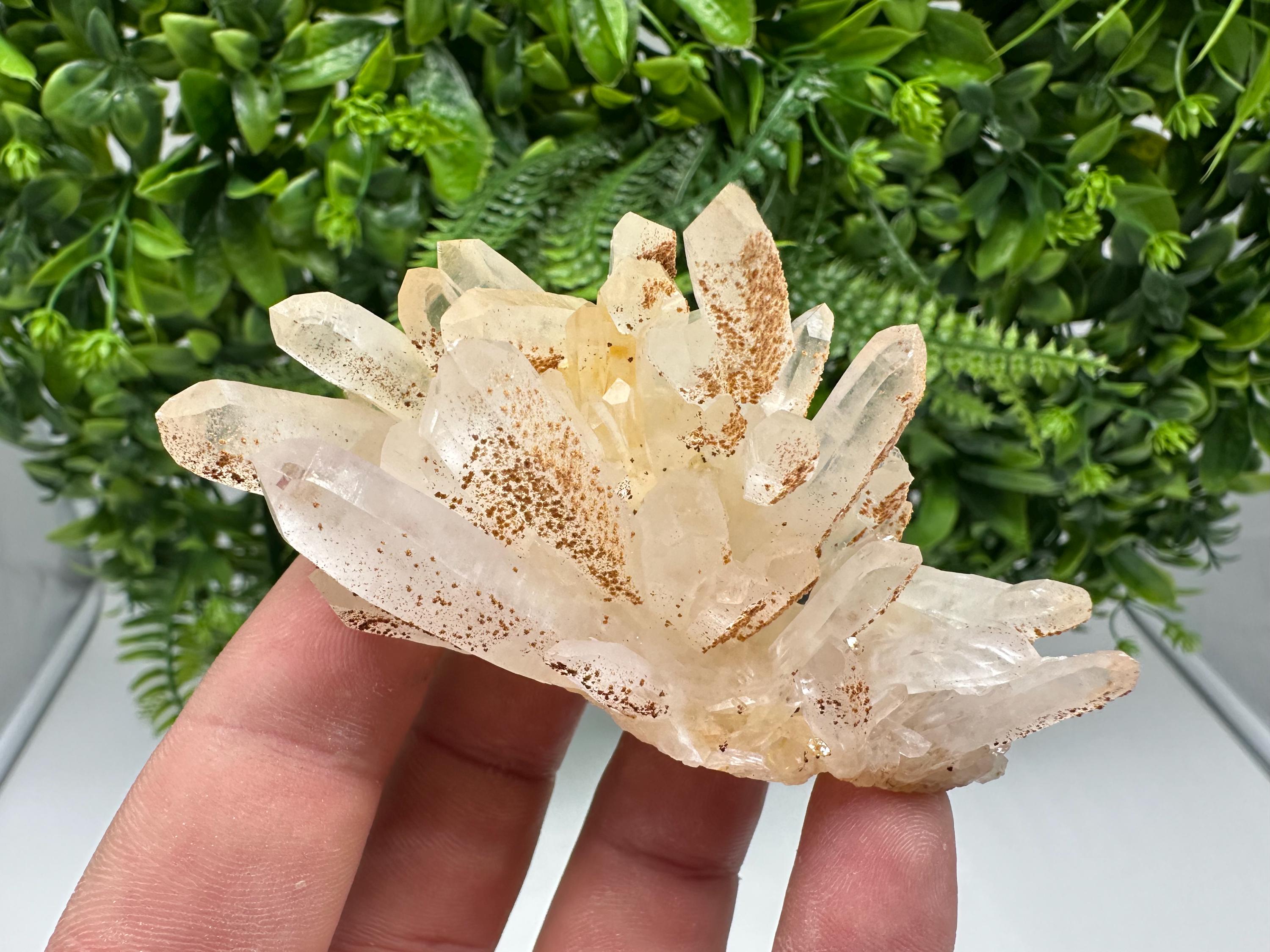 Transparent Quartz whit Siderite 9th September mine Bulgaria natural minerals souvenir crystal stone gift minerals collection rock