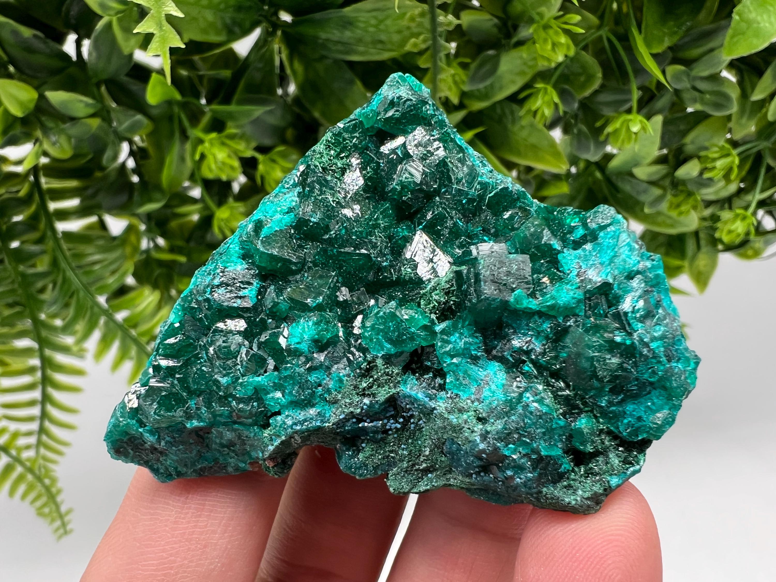 Stunning Green Dioptase from Sanda Hills,Mindouli,Pool Department,Mindouli District,Congo,green Dioptase,Dioptas Crystal,Dioptase collecting