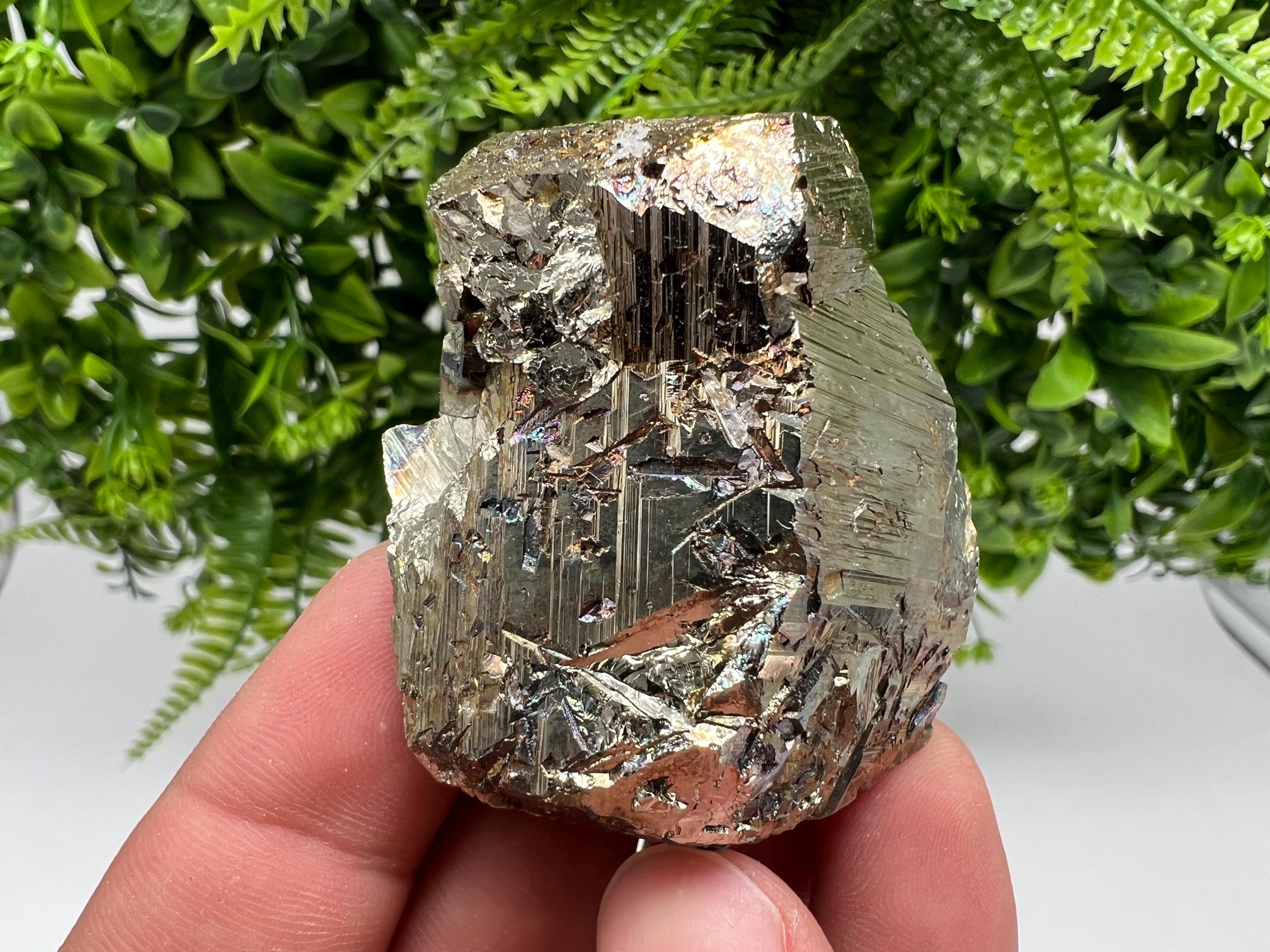 Rainbow Pyrite Hematite Cluster: Borieva Mine, Bulgaria