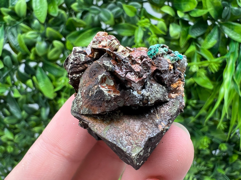 Malachite on Chalcopyrite Mineral Specimen: 9th September Mine, Bulgaria