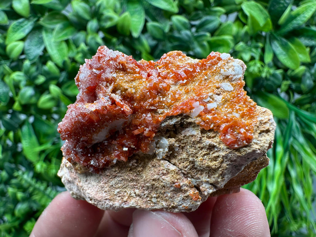Red Vanadinite Crystal Cluster on Matrix, Morocco Mineral Specimen