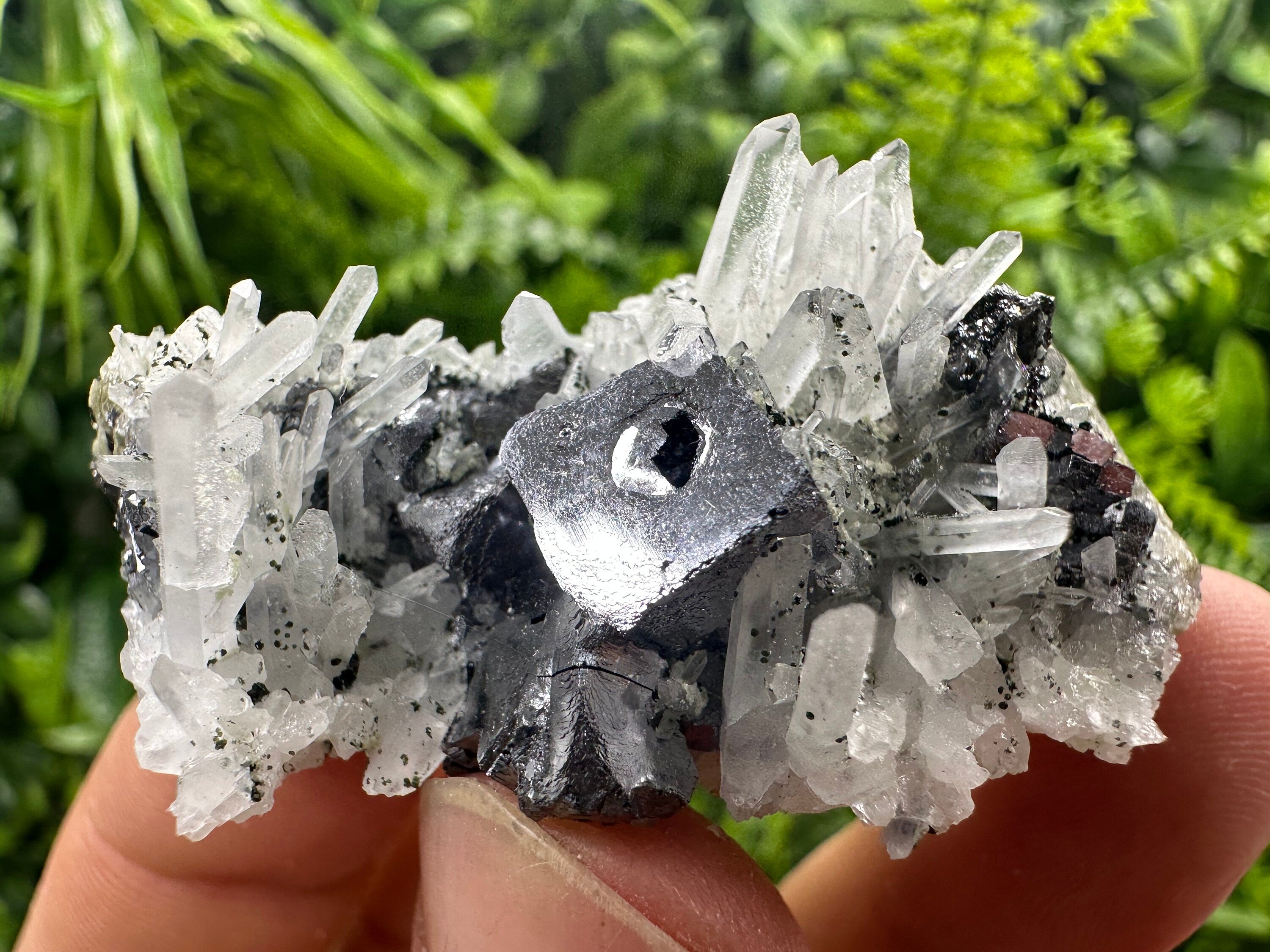 Galena on Quartz Mineral Specimen, Bulgaria Origin