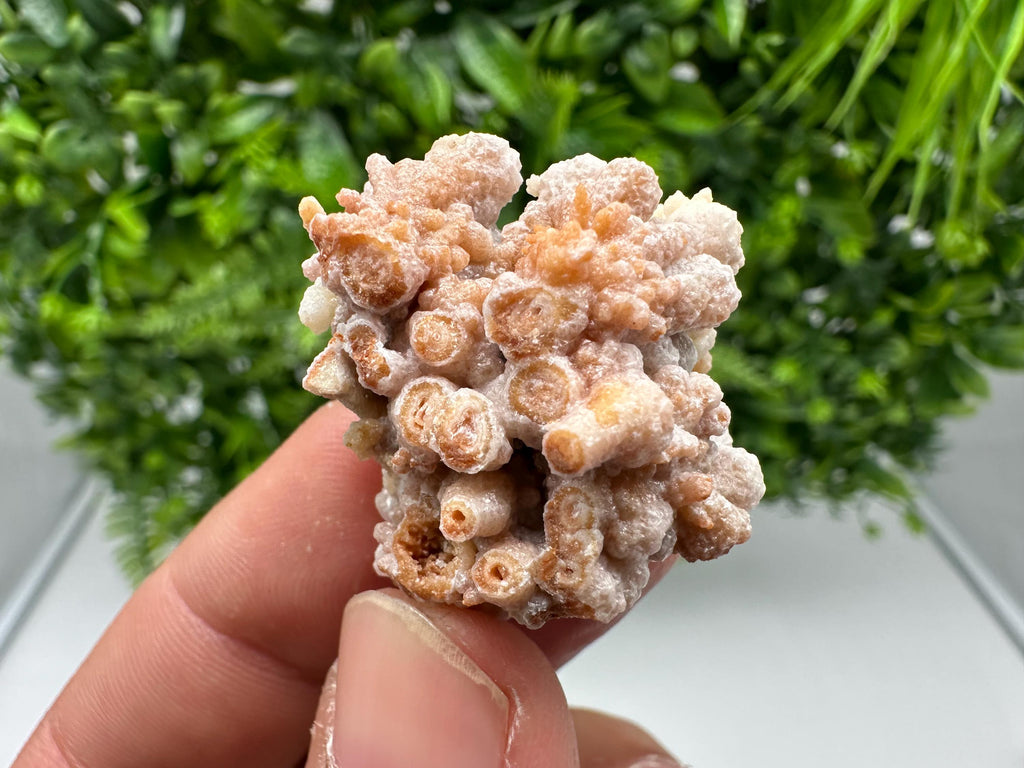Bulgarian Aragonite Crystal Specimen: Natural Mineral Decor