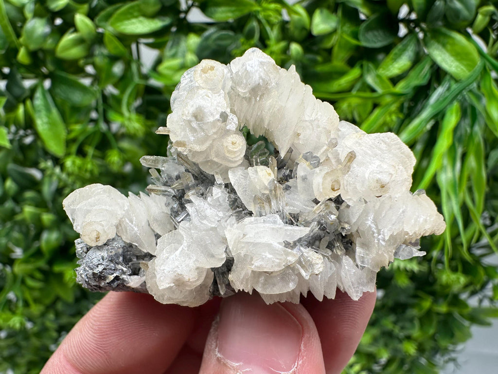 Quartz with Calcite and Chlorite: Borieva Mine Crystal Souvenir
