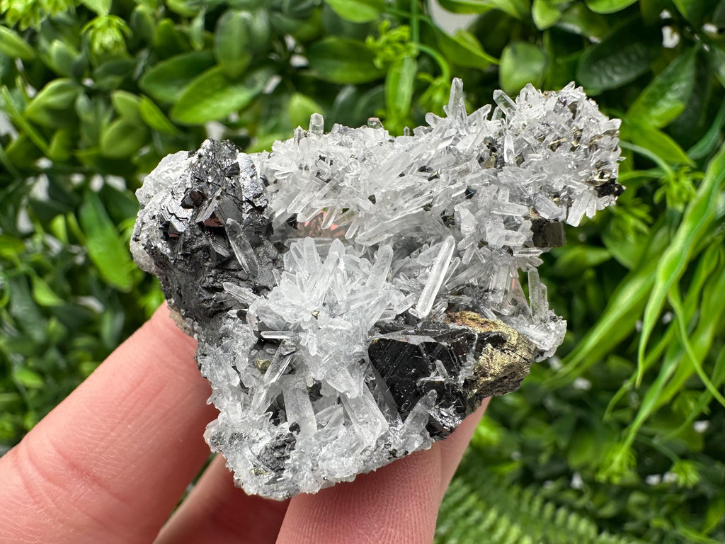 Wonderful Sphalerite Chalcopyrite on  Quartz whit Galena feom 9 th September mine,Bulgaria,natural,collection mineral specimen,gift