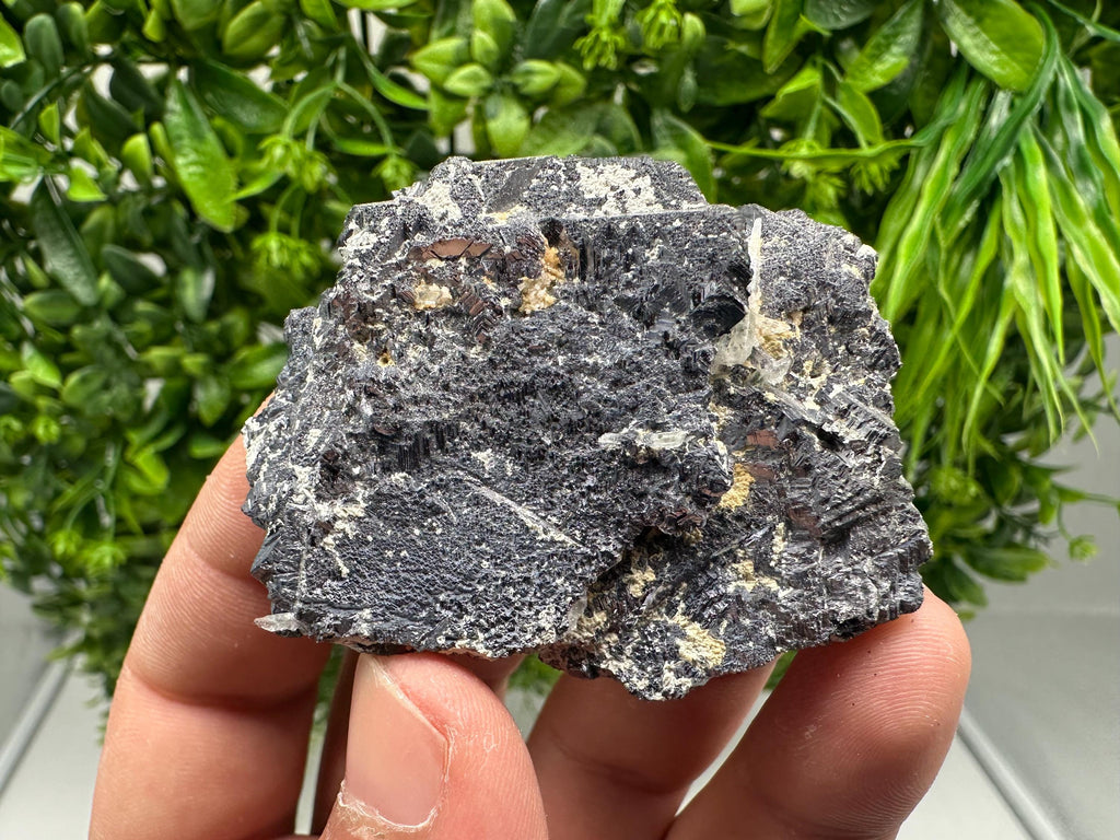 Galena Spinel Law Mineral Specimen: Krushev Dol, Bulgaria