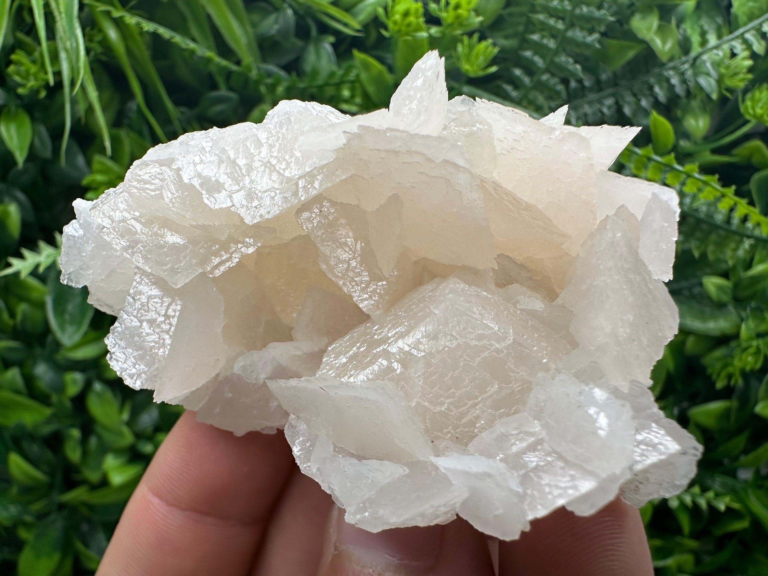 Rare Mangano Calcite Cluster: Borieva Mine, Bulgaria