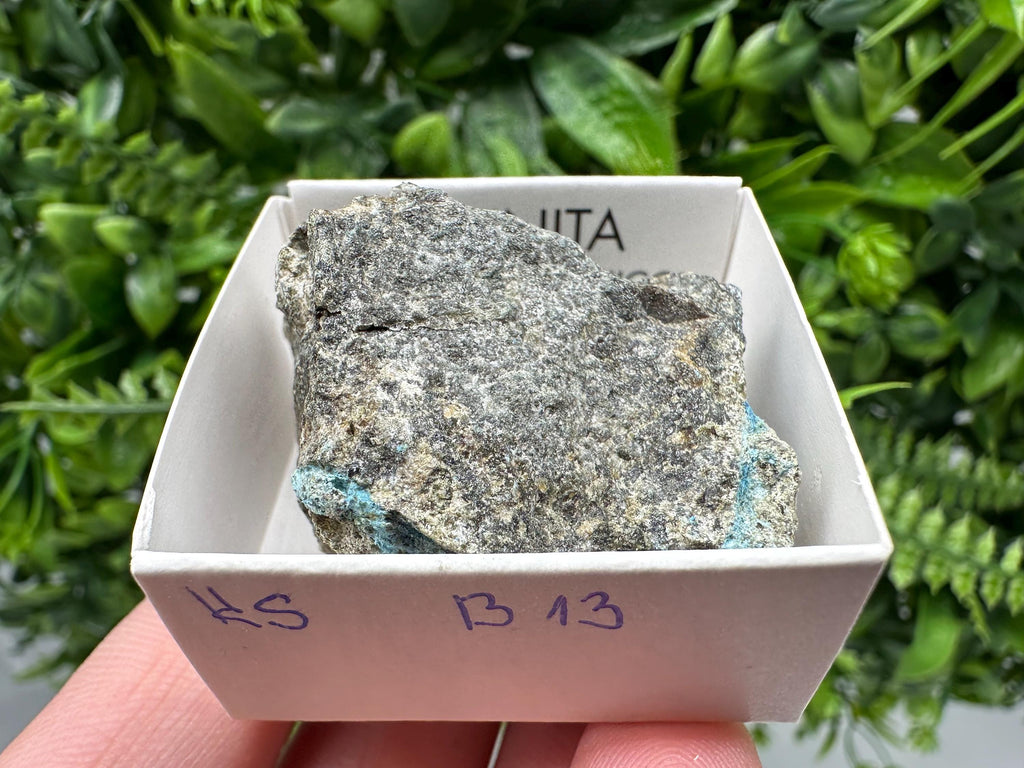 Rare Raw Aerinite Mineral Specimen: Lleida, Spain Crystal