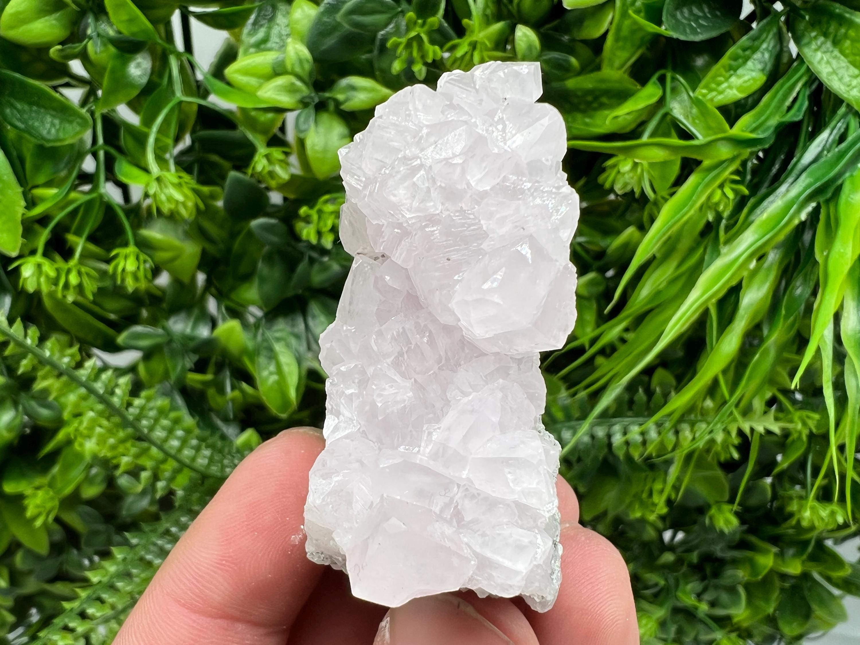 UV Reactive Mangano Calcite Crystal: Androvo Mine, Bulgaria