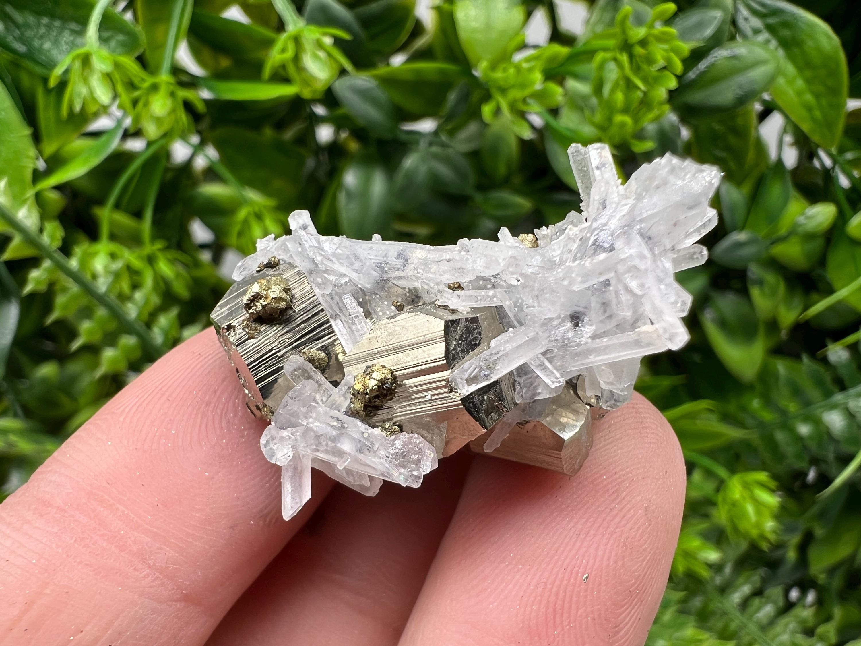 Wonderful Rainbow Pyrite whit Quartz,natural minerals souvenir Crystal,collection stone,rare minerals,home decor,Borieva Bulgaria