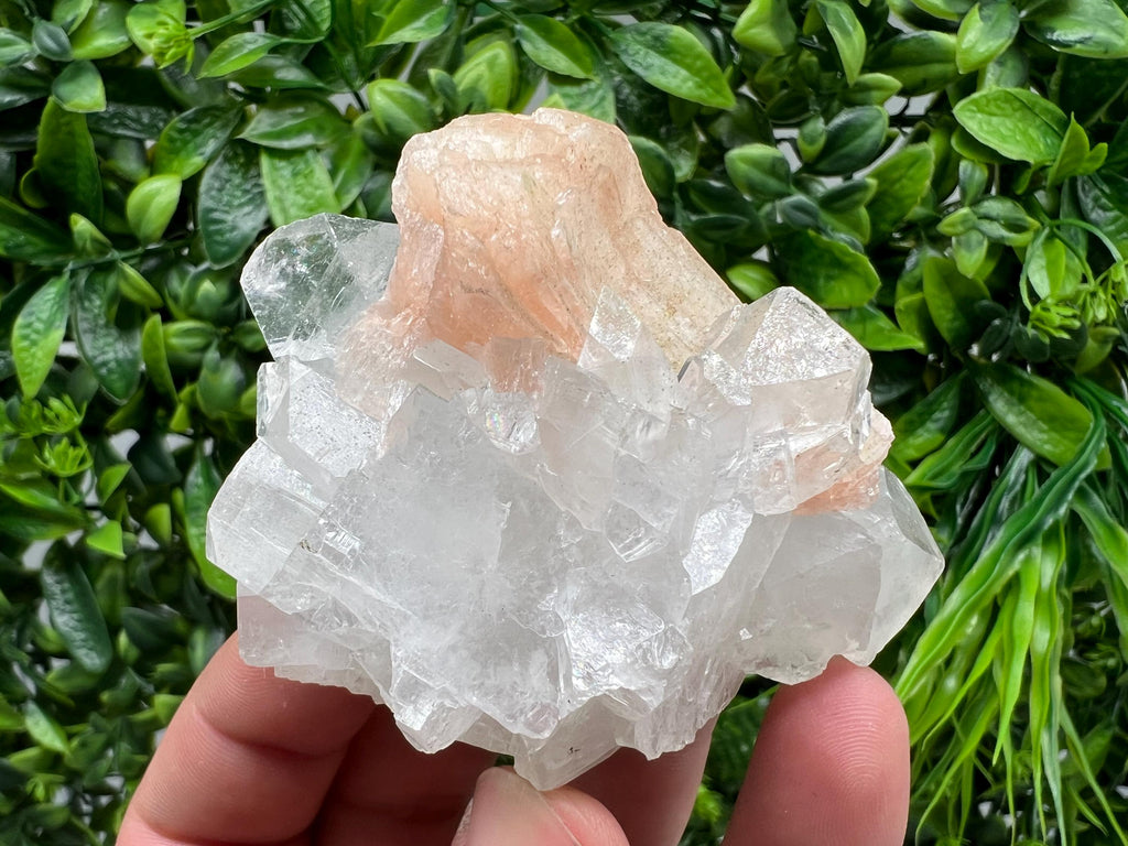 Apophyllite on Chalcedony Specimen: Natural Crystal from India