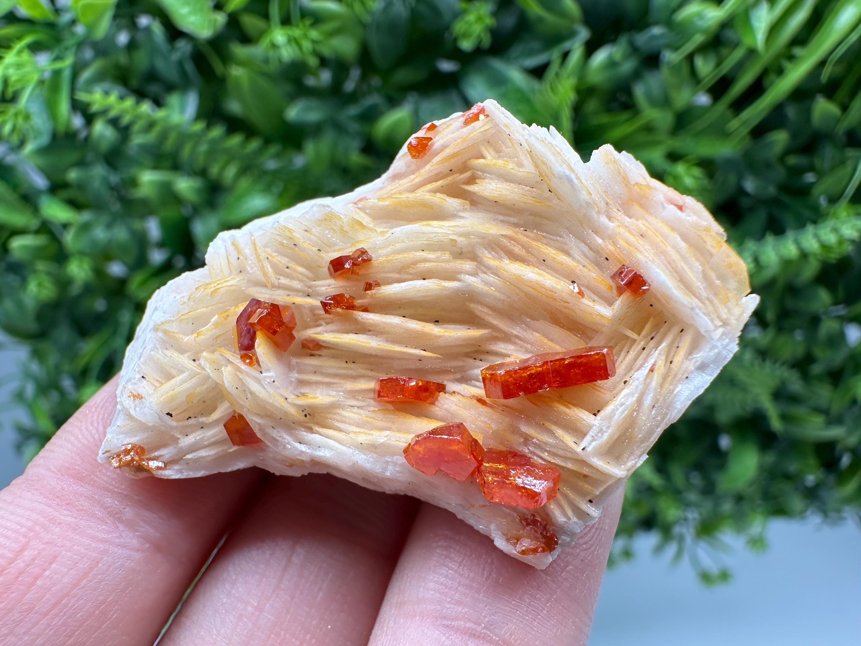 Red Vanadinite Crystals on Barite Matrix, Morocco Mineral Specimen