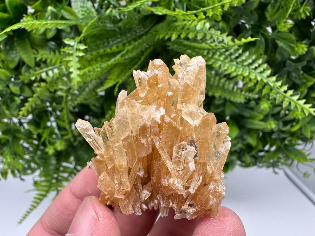 Brown Gypsum Selenite Crystal, Rudna Mine Poland, Mineral Specimen