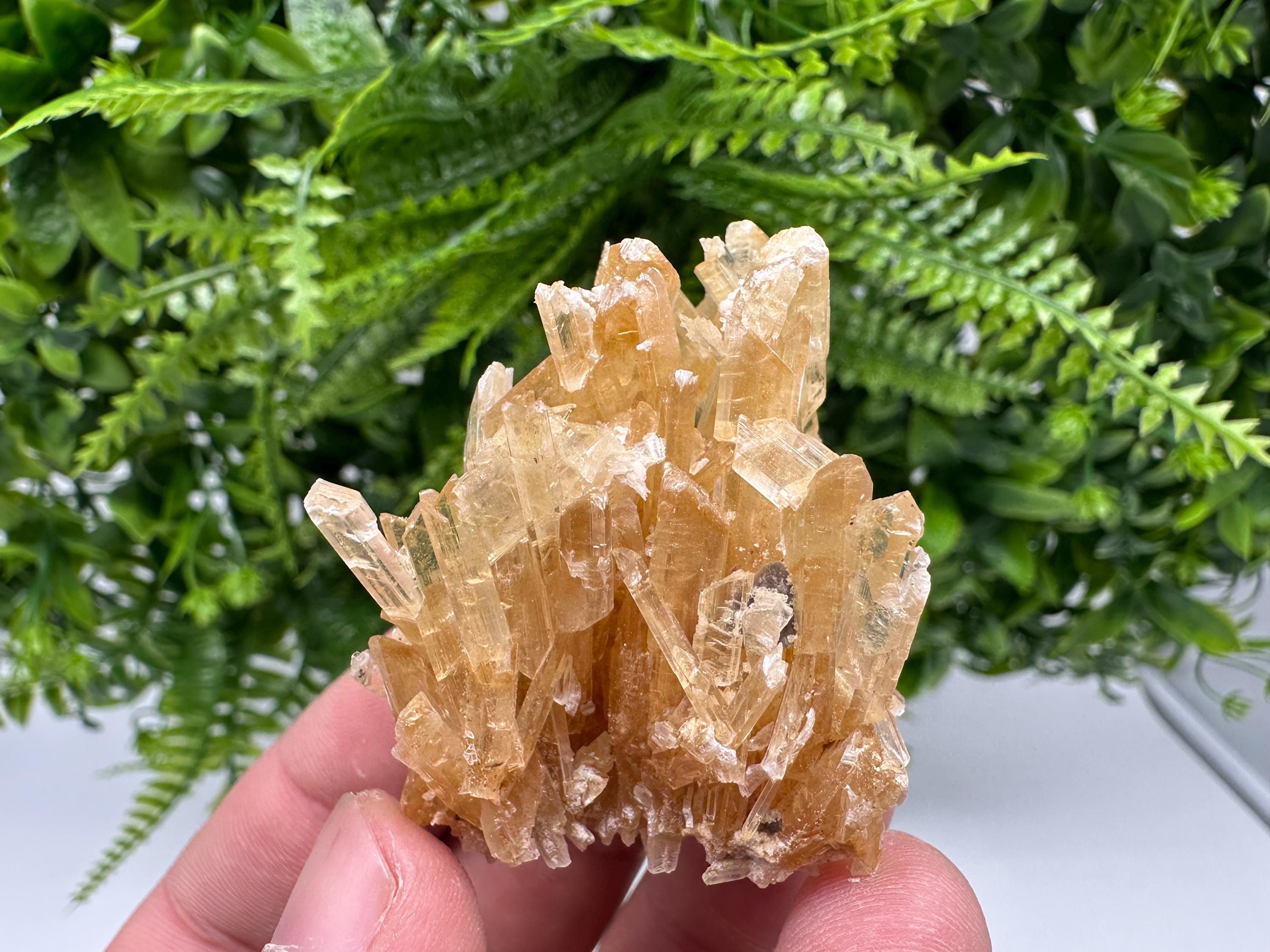 Brown Gypsum Selenite Crystal, Rudna Mine Poland, Mineral Specimen