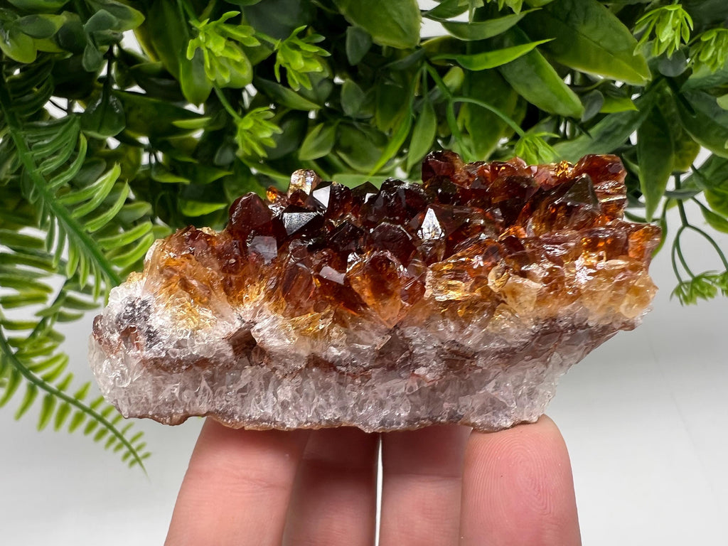 Citrine Crystal Cluster with Hematite Inclusions, Brazil