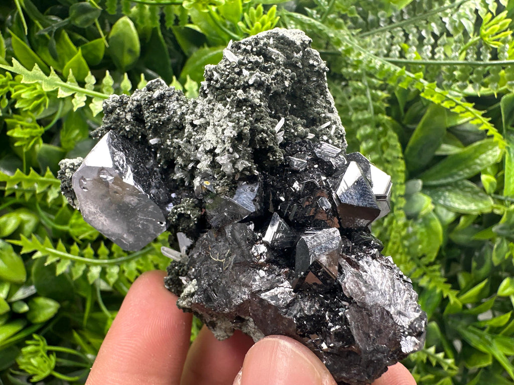 Galena with Black Sphalerite: Natural Minerals Souvenir, Borieva Bulgaria