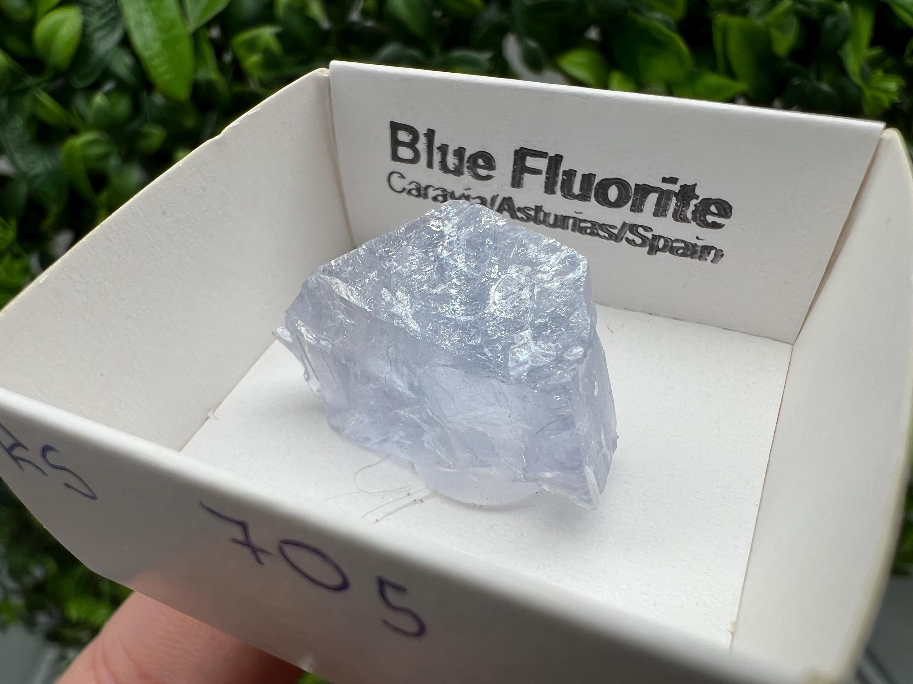 Blue Fluorite Mineral Specimen: Spanish Crystal Collection (2.5/1.5 cm)