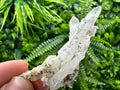Chlorite Quartz on Rhodochrosite with Siderite - Natural Crystal Decor